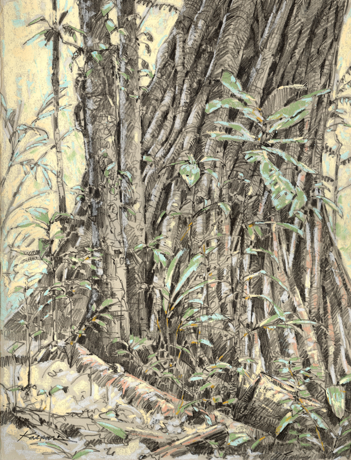 The original drawing was done plein air in the Amazon forest, showing a strangler fig that's consumed another tree (they're vines that choke trees to death as they use them to get themselves up into the canopy. They become trees themselves, with rotting trees at their cores). 