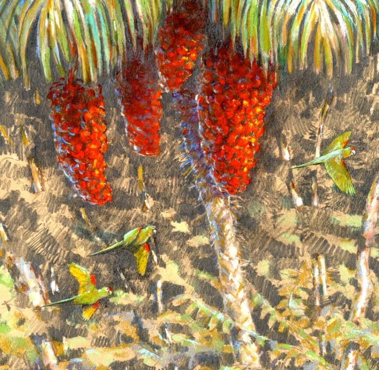 I stole the parakeets from another piece, a mixed media drawing I'd done plein air (more or less) on Barro Colorado Island.