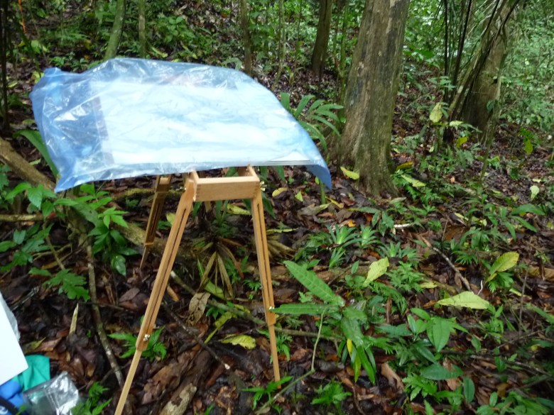 It had rained a bit, and some drops were rolling off the leaves above, so I put plastic over the drawing and waited it out.