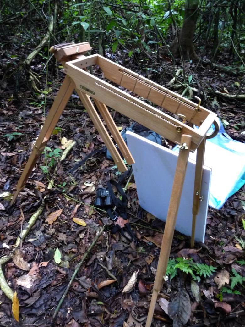 This is my drawing rig for field studies: a Jullian watercolor easel, drawing board and sheets of Rives BFK paper. And various pencils and stubs of pastels. This is along one of the dense forest trails on Barro Colorado Island, Panama.