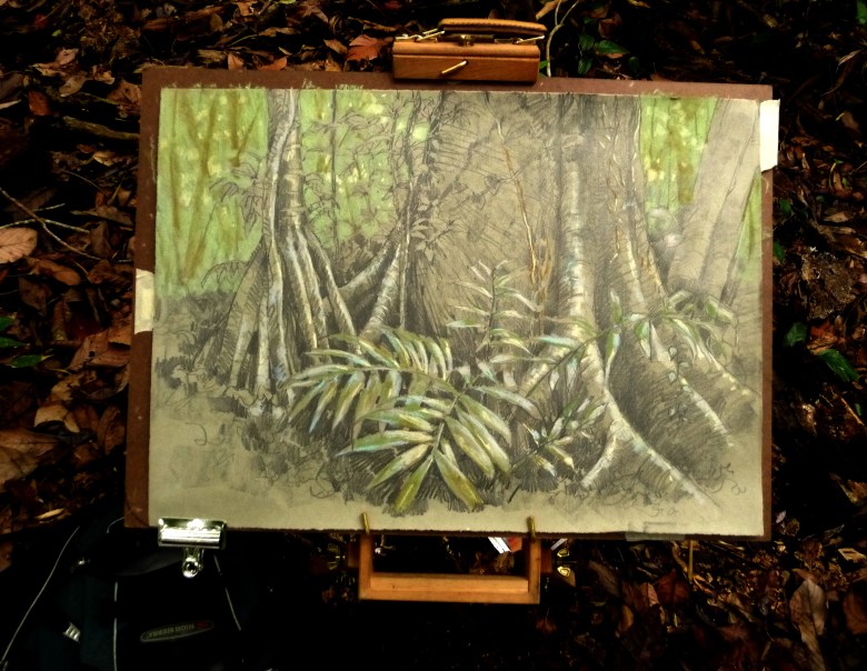 Drawing in the field.