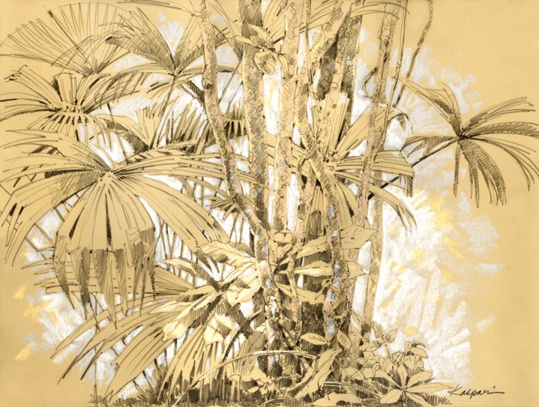 Palm edge, Barro Colorado Island, Panama. Drawn in the field, this mixed media drawing, also in this exhibit, was the source of the background for "I've Heard That Song Before".