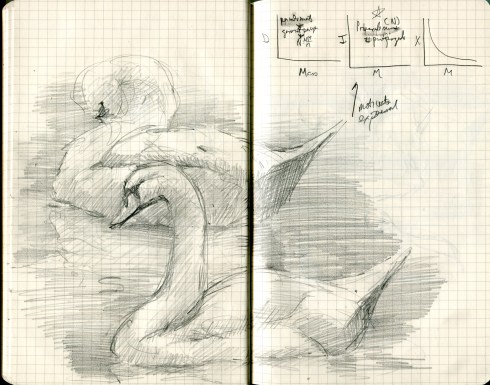 We had to drive to Houston to get our paperwork in order at the Danish consulate. The mute swan is, by sheerest coincidence, the national bird of Denmark. These two were afloat in the tiled pond in the Houston Embassy Suites lobby. Sketched in a borrowed Moleskine notebook, equations and all.