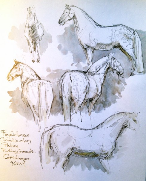 Every morning the Royal steeds get a workout in the huge riding ring behind the castle, practicing their teamwork skills, keeping in shape for ceremonial coach-drawing, if that's a word. Come to think of it, it's a great place to sketch. T