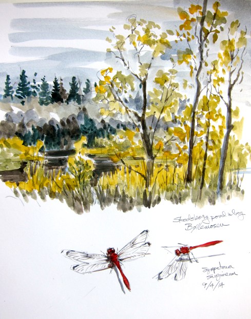 Happy September Equinox- a national holiday here in Denmark. It might explain the fireworks displays over the Copenhagen skies for the last few nights, but who can be sure? Tivoli Gardens, a venerable amusement park here, is celebrating its 170th anniversary with Saturday night fireworks that begin at 11:45 pm on the dot. You think 170 years is old for an amusement park? Try 451 years- the age of Bakken, the amusement park in Jaegersborg Deer Park. 