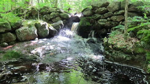 18th century mill dam in Harvard Forest, Massachusetts. A cider mill, as a matter of fact.