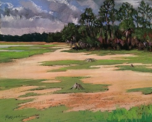 Wednesday afternoon at Little Neck Crossing, where the palm tree meets the pines. Spring Island, SC. Plein air pastel, 14" x 12".