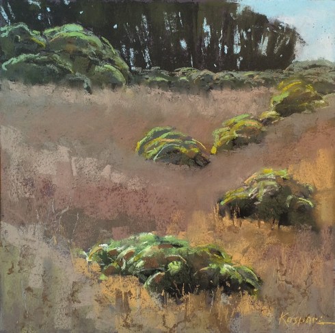 ElkhornSloughUplands